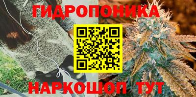 амф Мариинск
