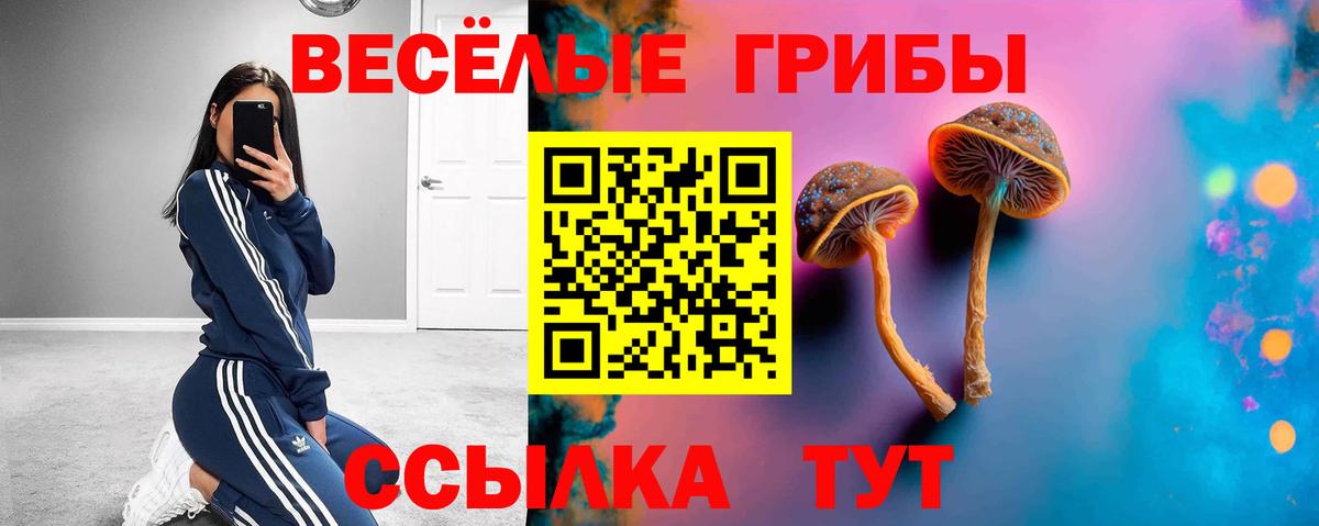Псилоцибиновые грибы мухоморы  Вход с VPN  Горячий Ключ 